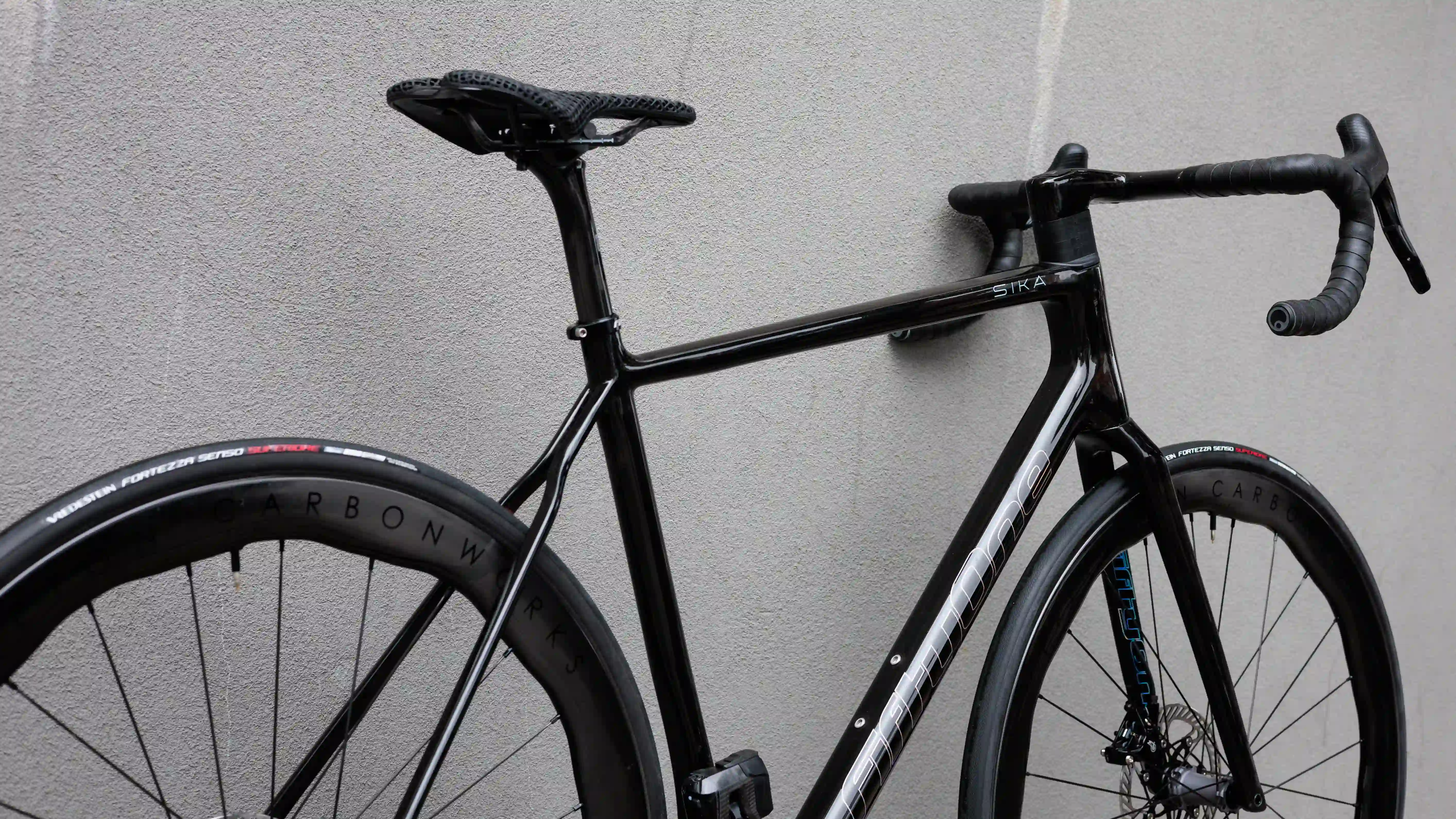 Sika bicycle back